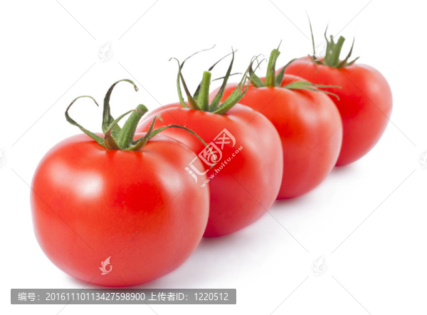 西紅柿的白-匯圖網(wǎng) www.fosd68.com 西紅柿的白