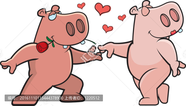 河馬的愛情
