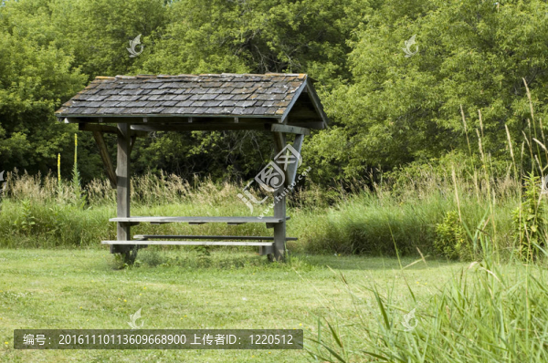 公園休憩區(qū)