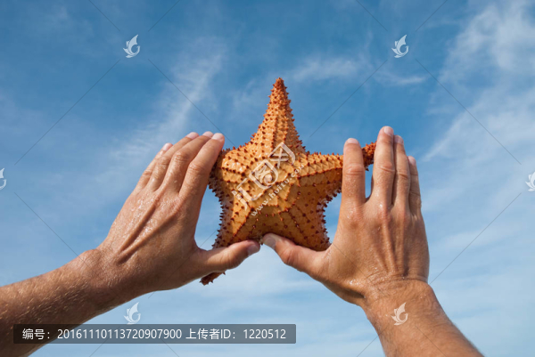 海之星