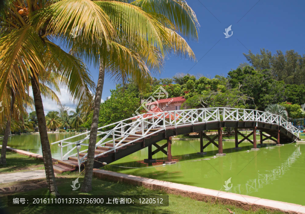 在Hesone公園的步行橋與反思
