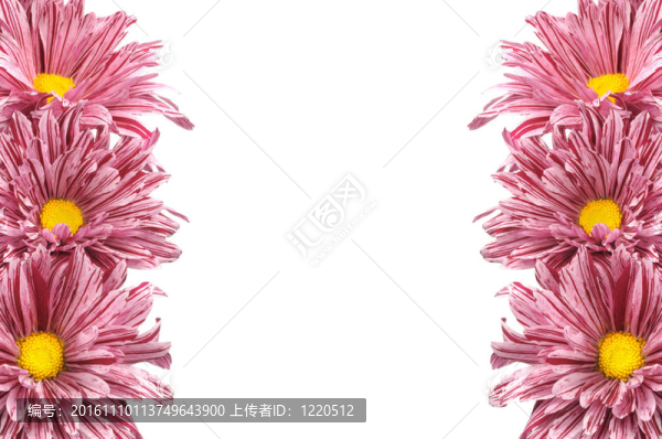 花框