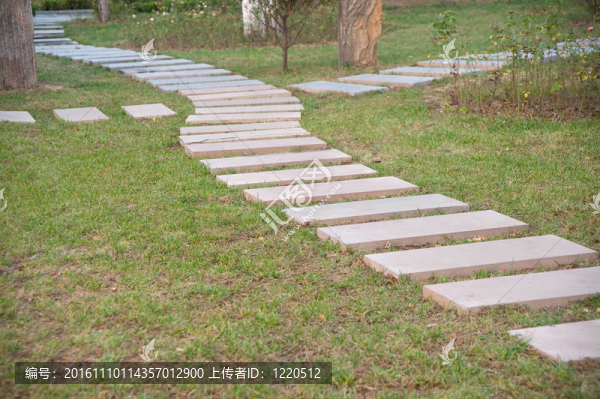 公園里的石頭路