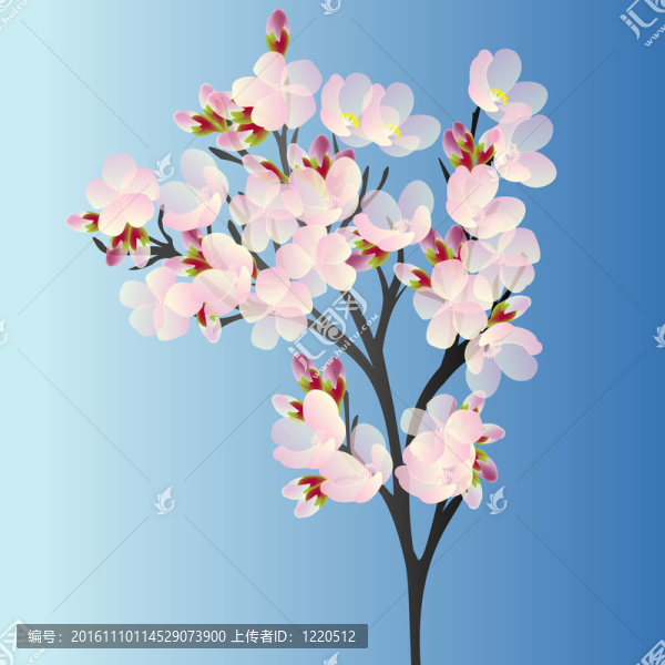藍色背景櫻桃枝