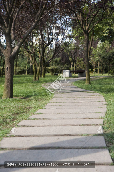 公園里的石頭路