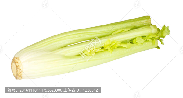 鮮綠色芹菜蔬菜