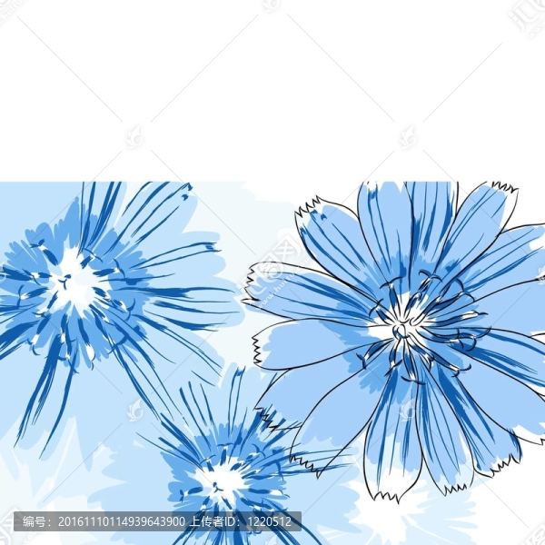 美麗的花朵