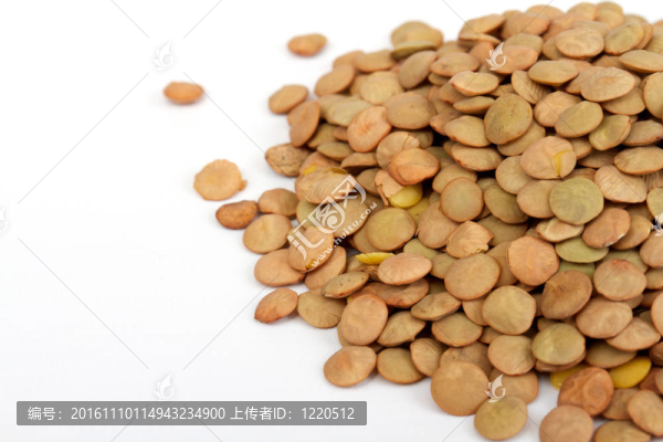 從低角度的綠扁豆白色隔離樁。