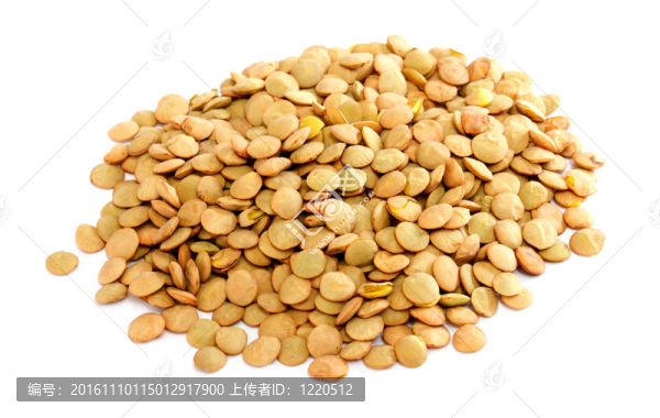 棕色的小扁豆散在白色背景