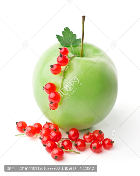 蘋果和紅醋栗的小枝