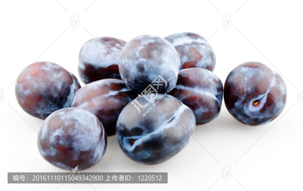少數(shù)黑李子