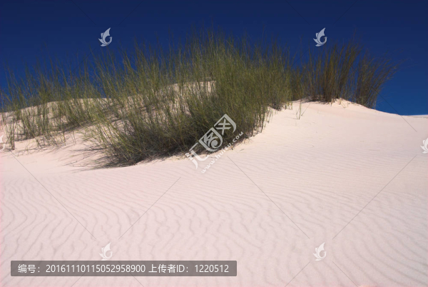 白色的沙丘；witsand；喀拉哈里沙漠