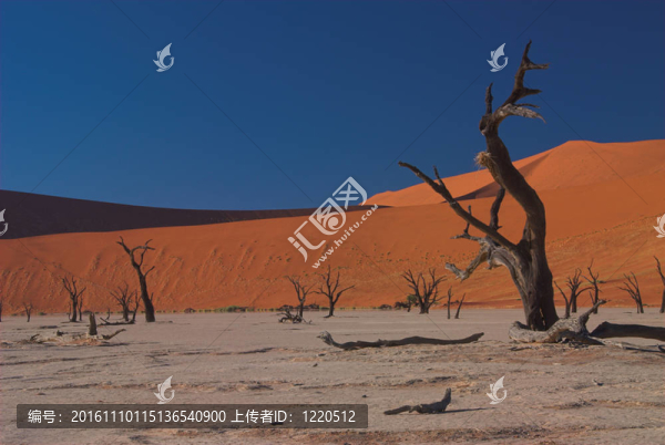 Dooie,Vlei；納米比亞1