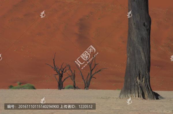 Dooie,vlei；納米比亞2