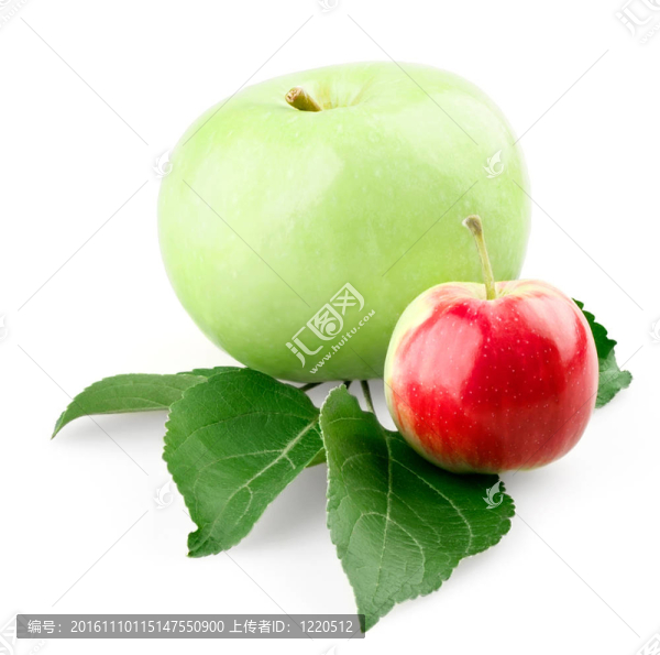 蘋果的葉子和小紅蘋果