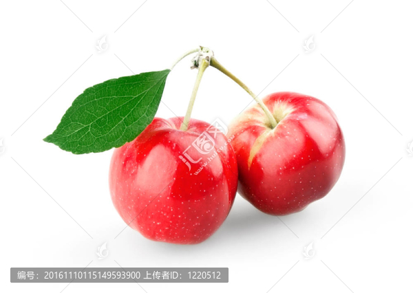 可愛的小蘋果