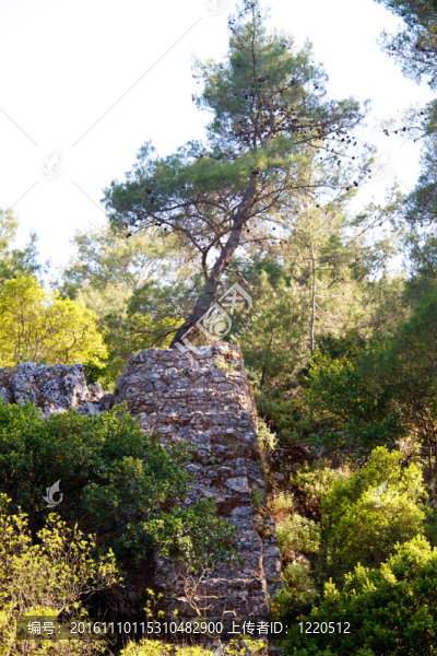羅德島上的古遺址；希臘