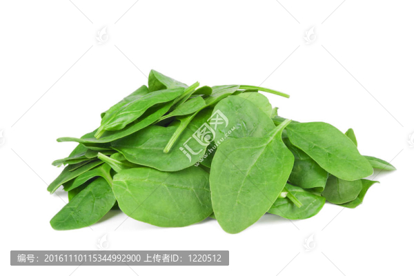 新鮮的菠菜