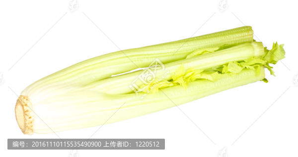鮮綠色芹菜蔬菜