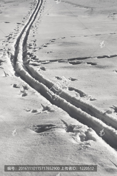 滑雪道
