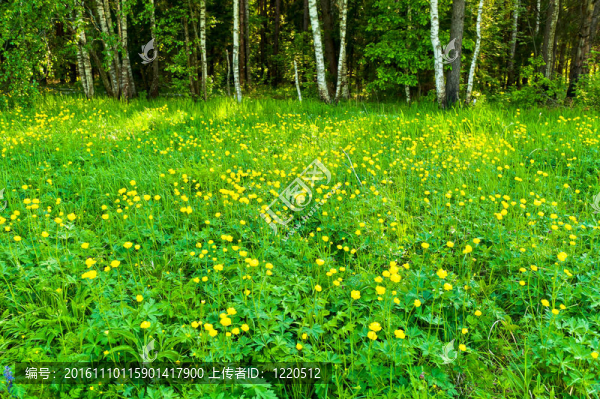花