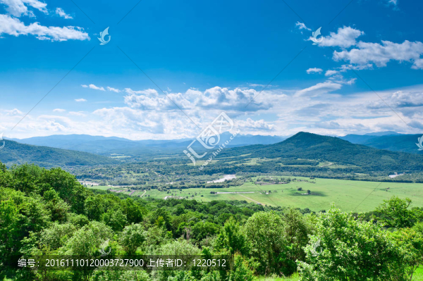 山