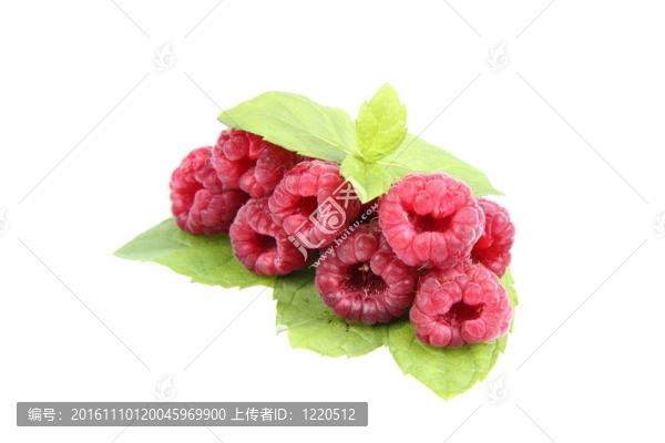 覆盆子