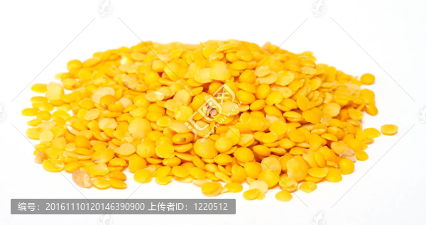 黃扁豆孤立在白色背景。微距鏡頭