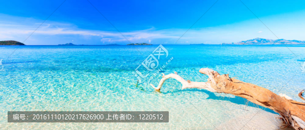 熱帶海灘全景