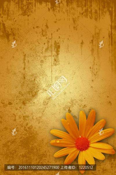 書的封面