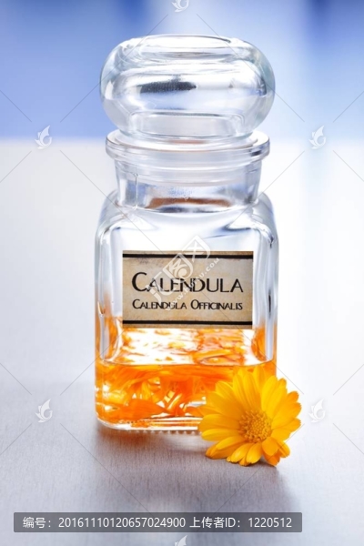 calenudla藥用植物提取物