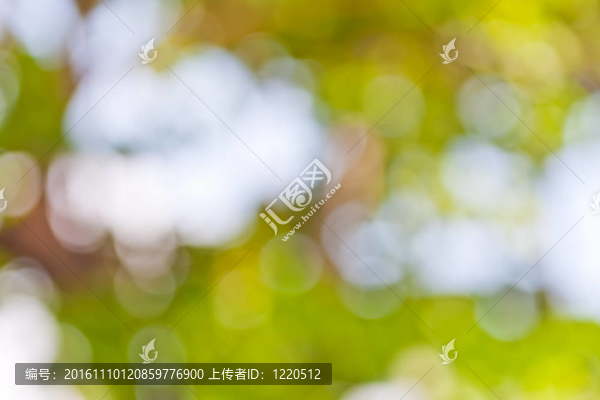 模糊的綠色和白色的背景虛化