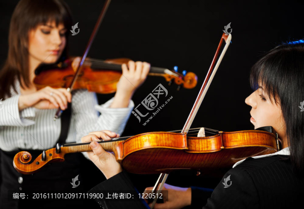 美麗的小提琴手