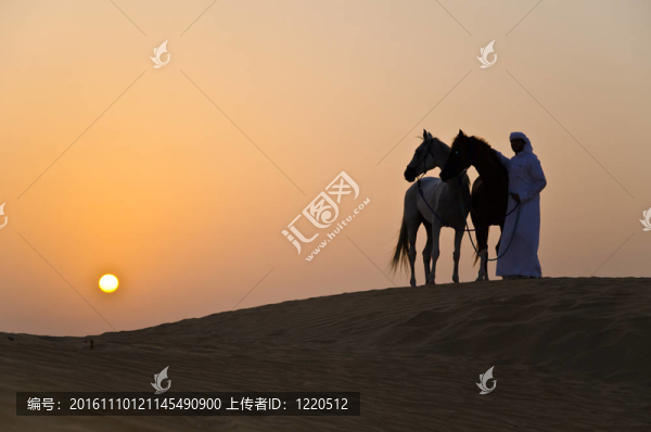 阿拉伯男子與阿拉伯馬