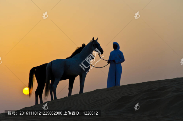 阿拉伯男子與阿拉伯馬