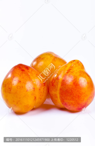杏子