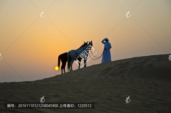 阿拉伯男子與阿拉伯馬