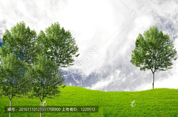 景觀