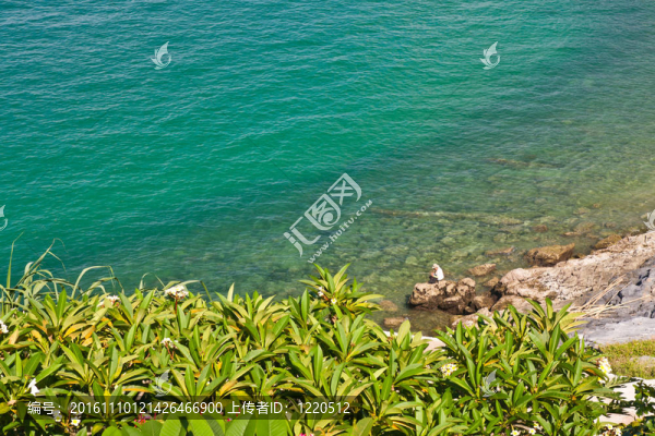 美麗的海岸與樹(shù)木在泰國(guó)