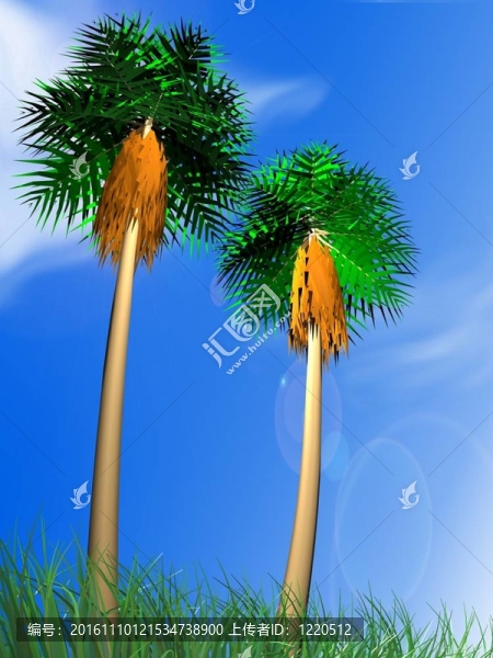 棕櫚