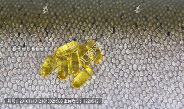鮭魚油
