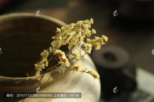 水晶草