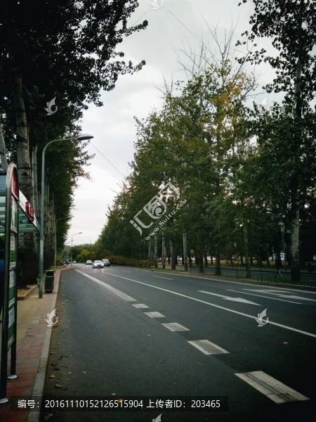 北京道路公交站行車線