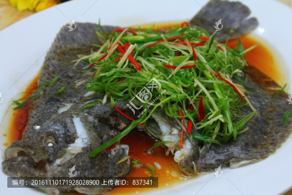 多寶魚