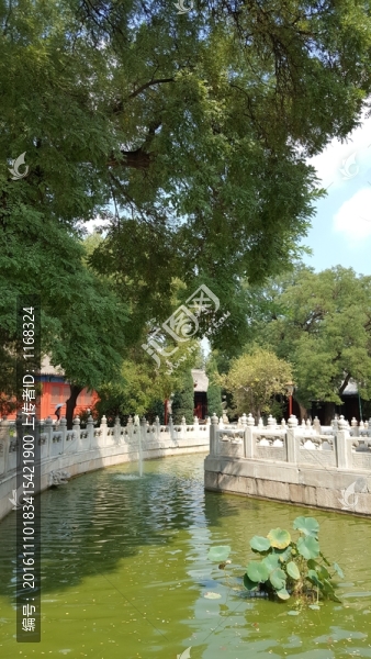國子監(jiān)風(fēng)光