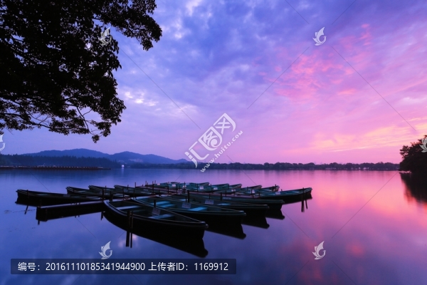 楊堤景行