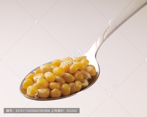 玉米