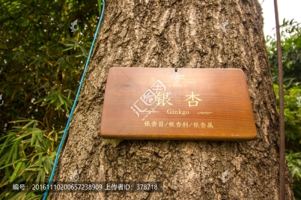 成都鐵像寺