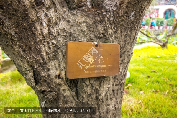 成都鐵像寺