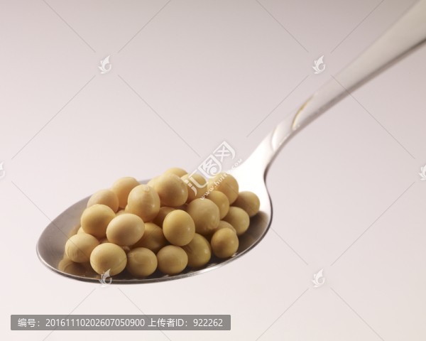 黃豆